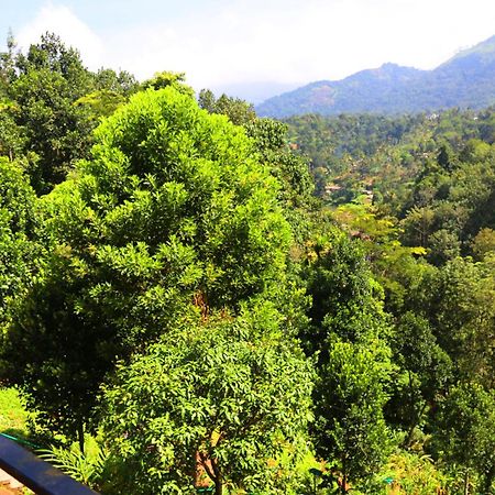 Green Magic Riverside Resort Munnar Exterior photo