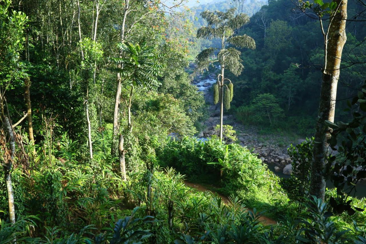 Green Magic Riverside Resort Munnar Exterior photo
