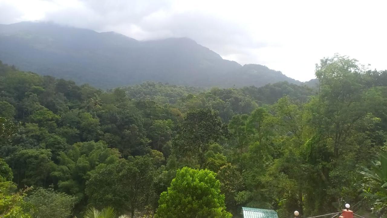 Green Magic Riverside Resort Munnar Exterior photo